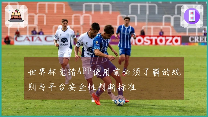 世界杯竞猜APP使用前必须了解的规则与平台安全性判断标准