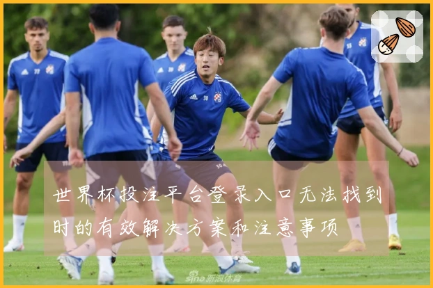 世界杯投注平台登录入口无法找到时的有效解决方案和注意事项